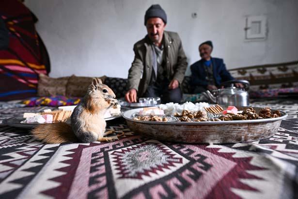 Fındık Yemek Yerken